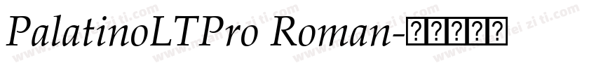 PalatinoLTPro Roman字体转换